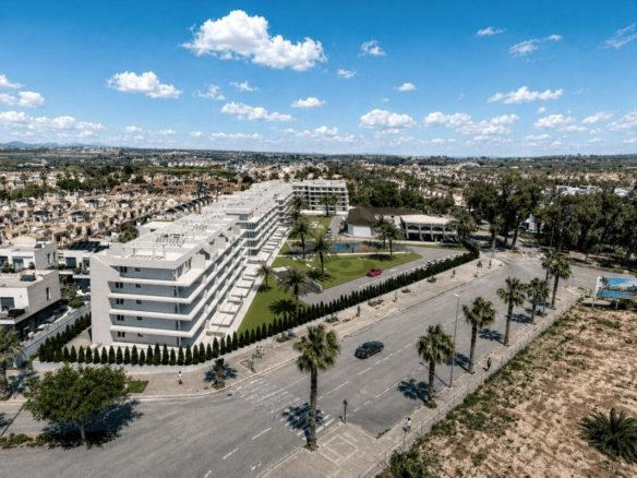 Oasis Garden