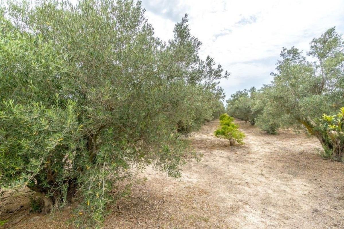 property-479482-29-medium Casa rural en vereda la Colegiala