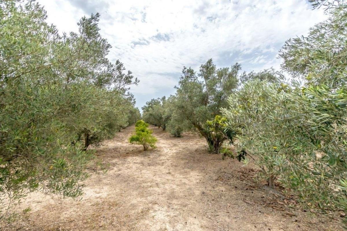 property-479482-30-medium Casa rural en vereda la Colegiala