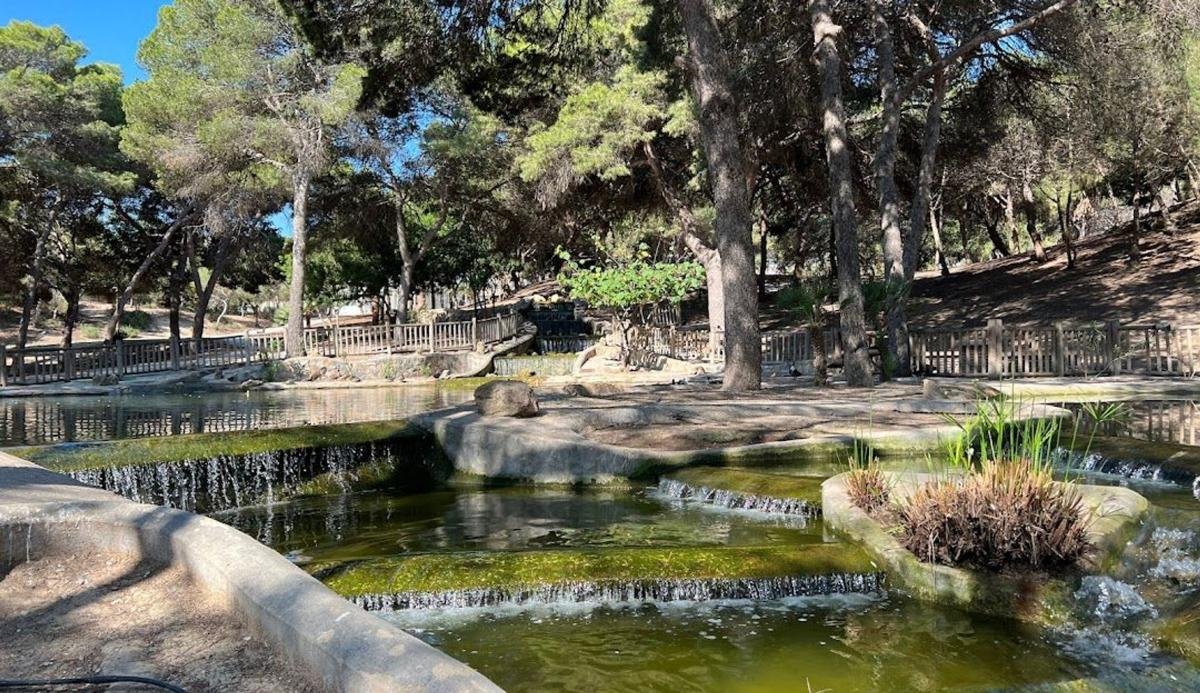 property-488362-2-medium Ático en Calle Félix Rodríguez de la Fuente, 8, Avenida Habaneras – Curva de Palangre, Torrevieja