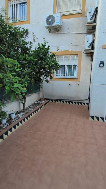 property-506487-3-medium Chalet adosado en calle Berenguer de Massanet