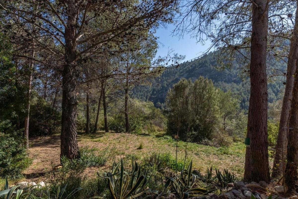 Casa o chalet independiente en Castell de Castells, Castell de Castells