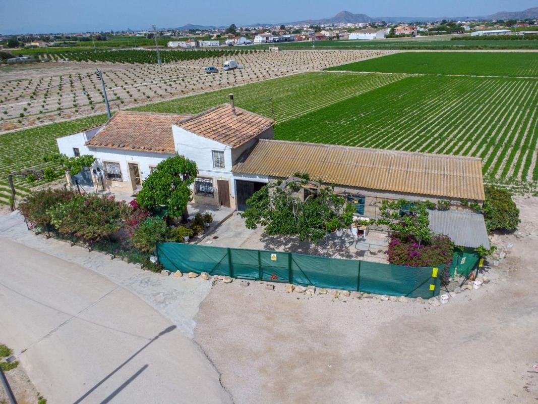 Finca rústica en Partida Desamparados, Desamparados-Hurchillo-Torremendo, Orihuela