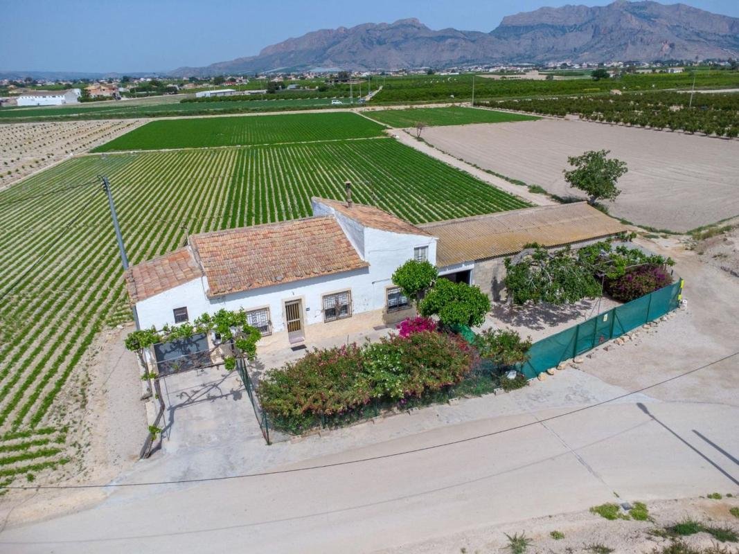 Finca rústica en Partida Desamparados, Desamparados-Hurchillo-Torremendo, Orihuela