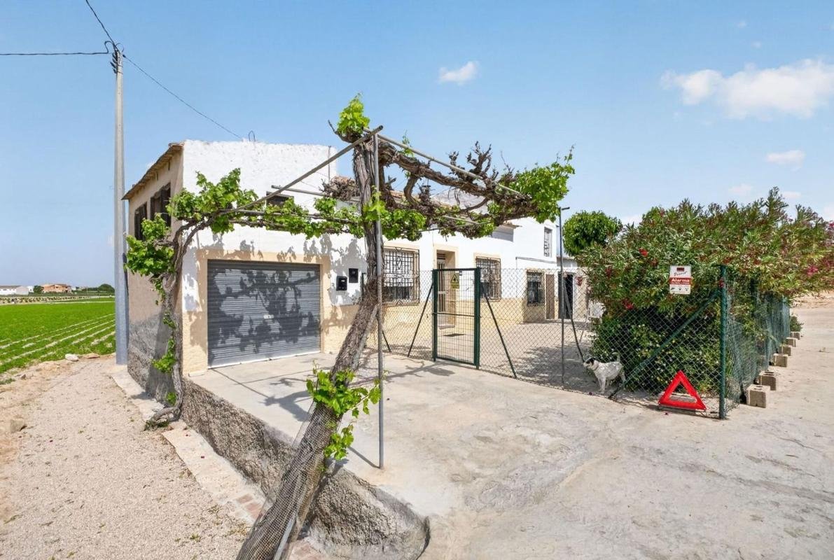 Finca rústica en Partida Desamparados, Desamparados-Hurchillo-Torremendo, Orihuela