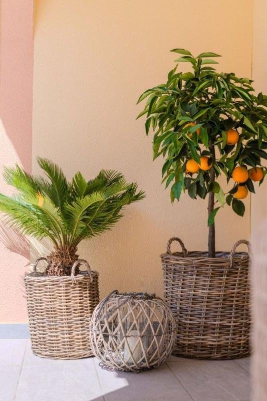 property-541550-3-medium Chalet adosado en Urbanizacion Horizonte Cl 3, Horizonte – La Campana, Orihuela