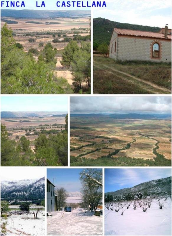 property-543369-3-medium Finca rústica en Avenida Constitución, La Paz, Villena
