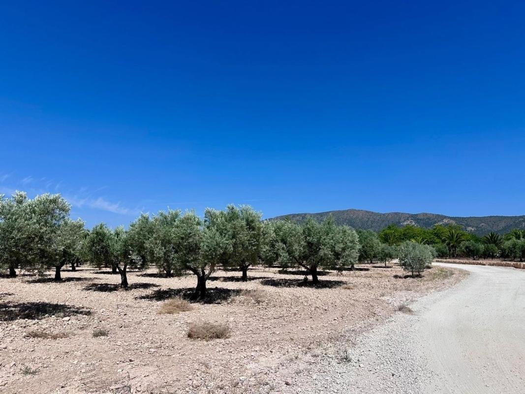 property-548496-2-medium Terreno en Monovar
