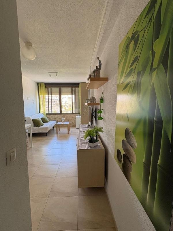 property-550825-1-medium Piso en Paseo Navarra, Miramar – Torre del Moro, Torrevieja