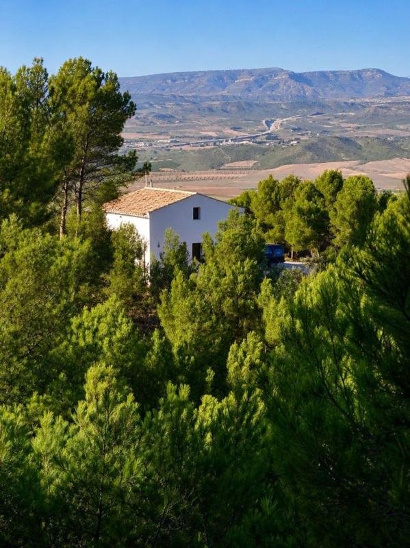 property-551618-2-medium Casa o chalet independiente en Las Virtudes, Villena