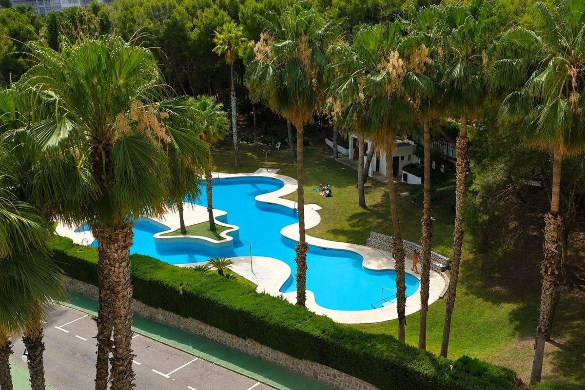 property-560628-10-medium Piso en Campoamor, Orihuela