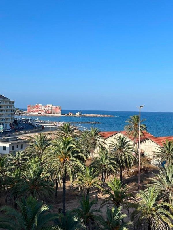 property-563537-1-medium Piso en Calle la Sal, 6, Playa del Cura, Torrevieja