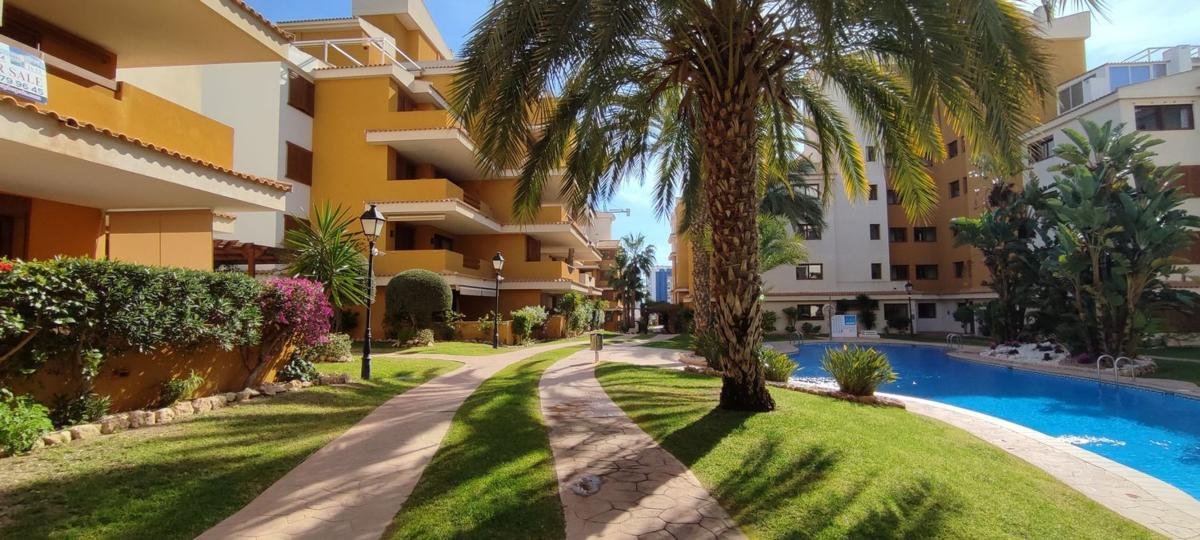 property-586999-16-medium Piso en Avenida de las Olas s/n, Punta Prima, Torrevieja