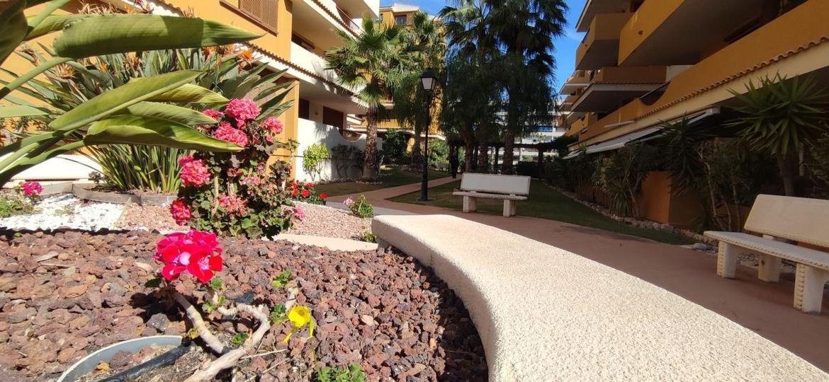 Piso en Avenida de las Olas s/n, Punta Prima, Torrevieja