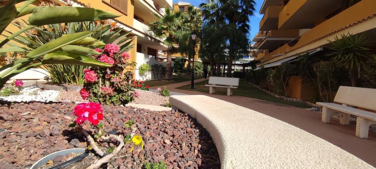 property-586999-23-medium Piso en Avenida de las Olas s/n, Punta Prima, Torrevieja