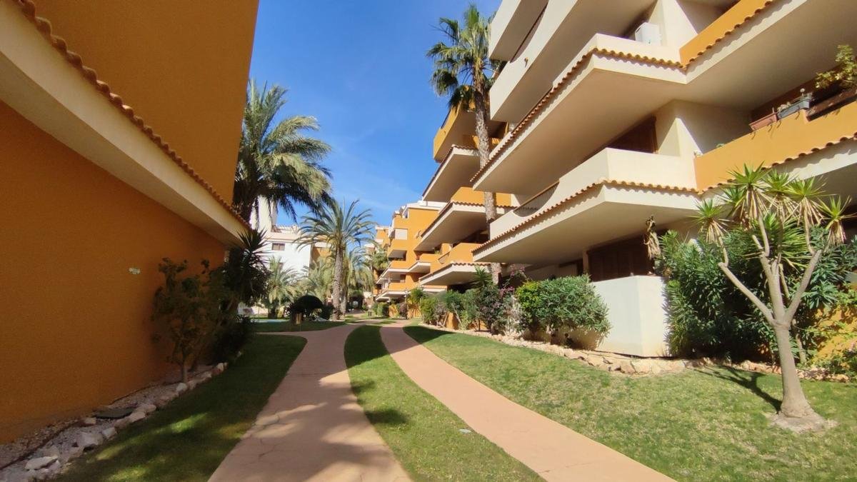 property-586999-24-medium Piso en Avenida de las Olas s/n, Punta Prima, Torrevieja