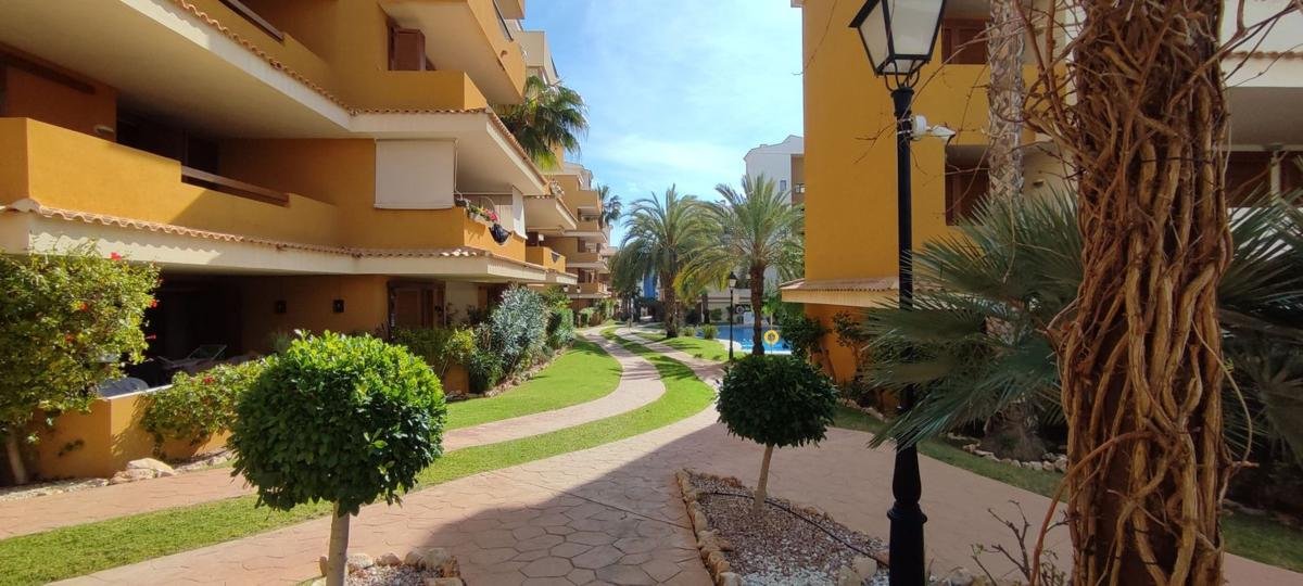 property-586999-26-medium Piso en Avenida de las Olas s/n, Punta Prima, Torrevieja